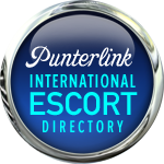 Punterlink Banner